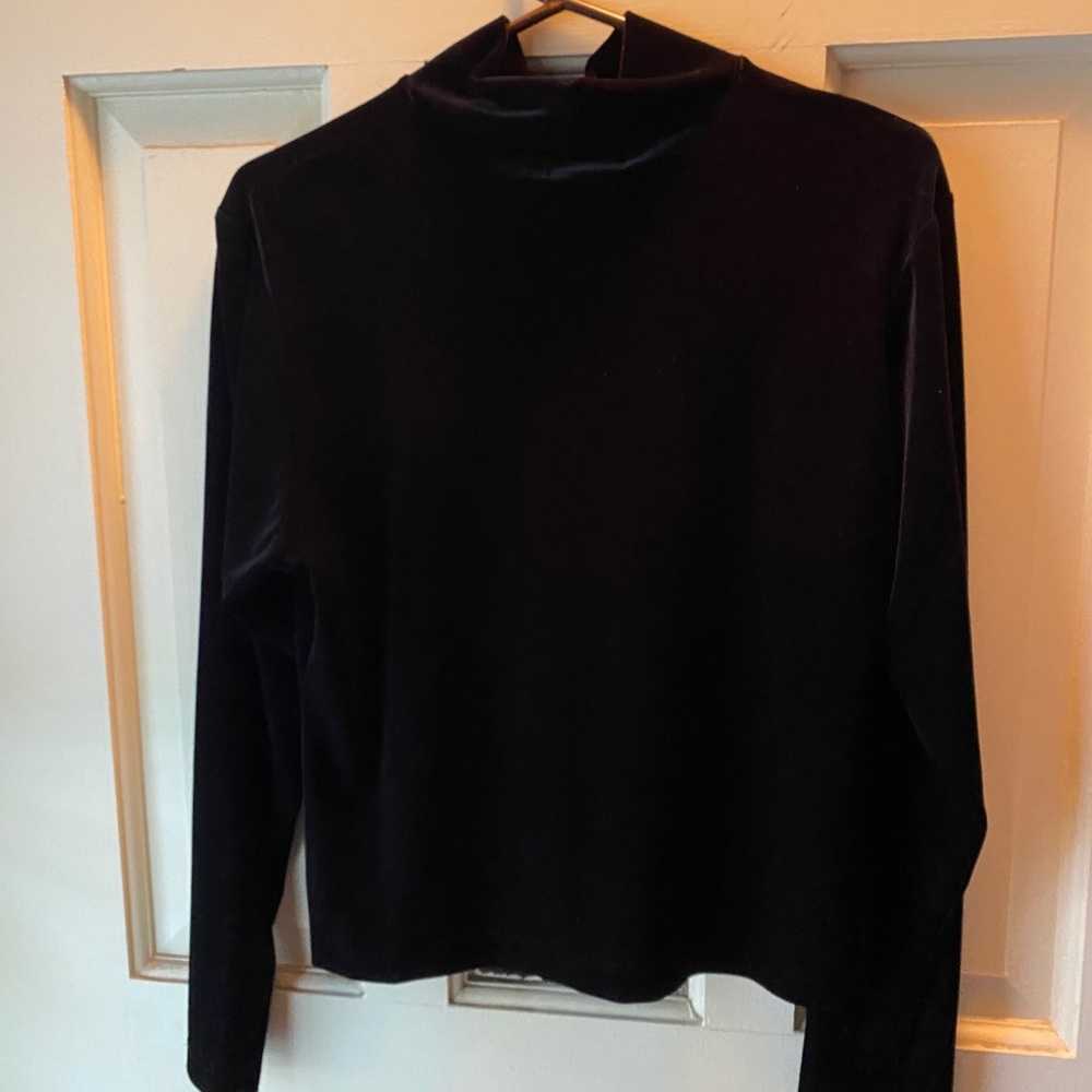 Black Velvet turtle neck